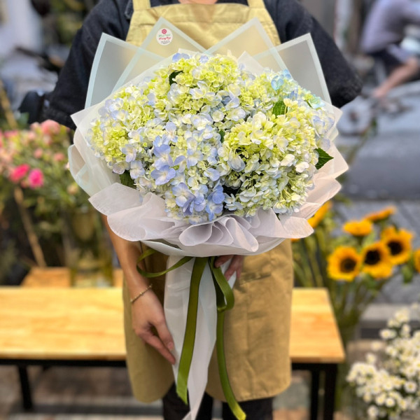 Bó hoa chúc mừng sinh nhật đẹp : hoa cẩm tú cầu 4