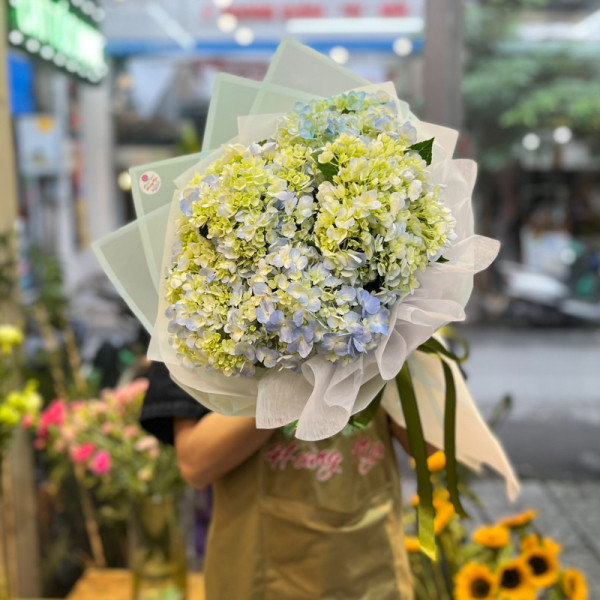 Bó hoa chúc mừng sinh nhật đẹp : hoa cẩm tú cầu 5