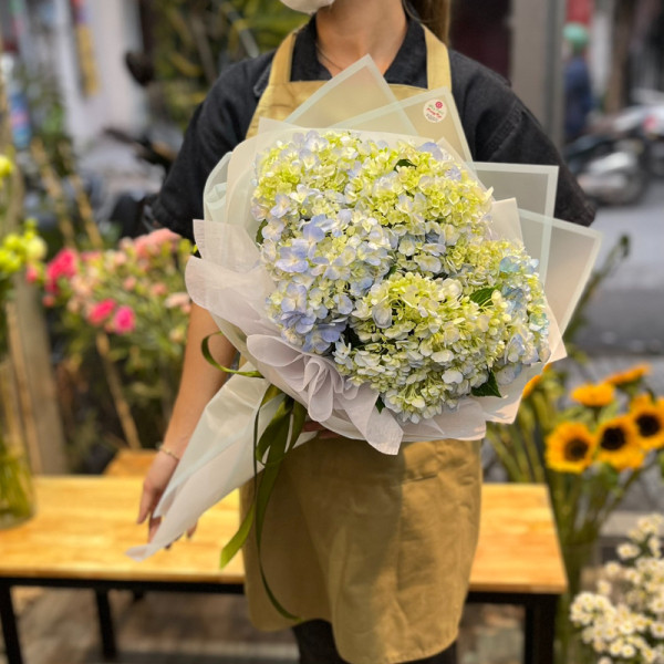 Bó hoa chúc mừng sinh nhật đẹp : hoa cẩm tú cầu 6