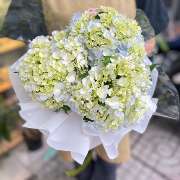 Bó hoa cẩm tú cầu nhỏ xinh tặng sinh nhật  6