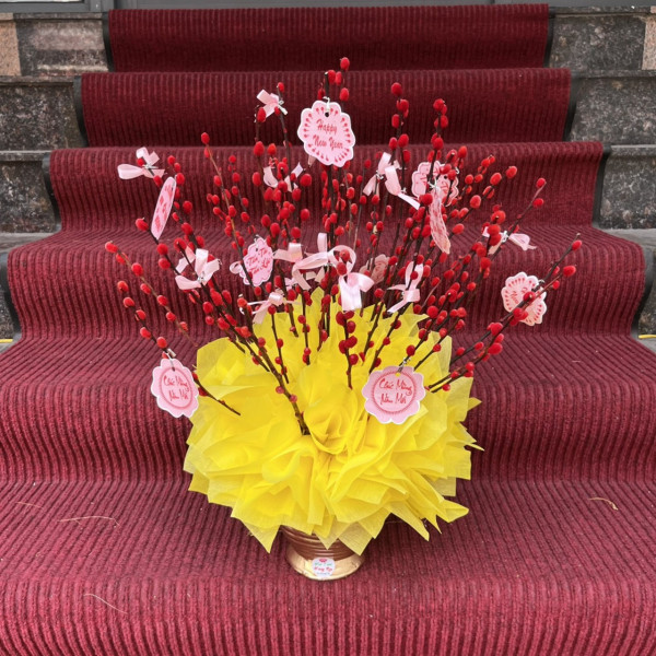 Bình hoa nụ Tầm Xuân Đỏ 30 cành nơ vàng 5